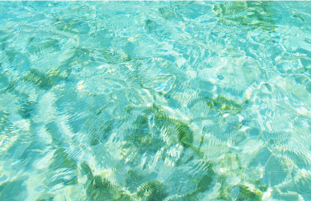 海